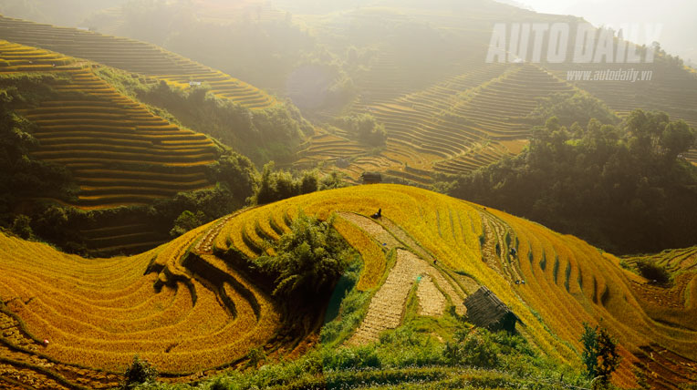 Kiệt t&aacute;c ruộng bậc thang M&ugrave; Cang Chải